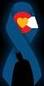 Aurora Shooting Tribute
