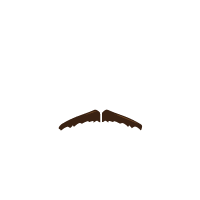 Bigote Olimpico