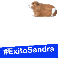 #ExitoSandra