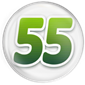 ARIVAN 55