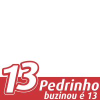 Pedrinho13