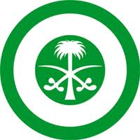 ROYAL SAUDI AIR FORCE
