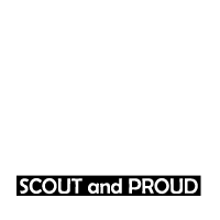 Scout and Proud