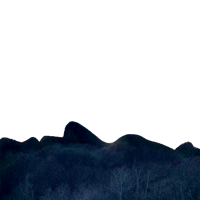 SV_Y