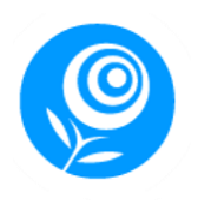 Liga Flores de Papel