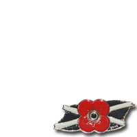 Scottish Poppy Appeal 