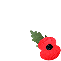 Poppy Appeal 2012