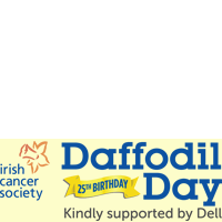 2012 Daffodil Day ICS/Dell
