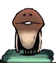 nameko saibai