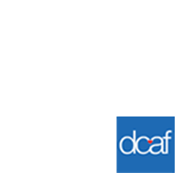 Diabetes Community Advocacy Foundation and #DSMA