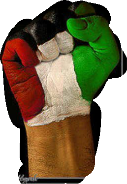 kuwaiti