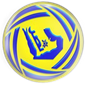 nasser