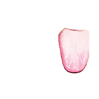 The Good Luck Goon Lick
