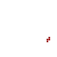 Love With All Your Heart