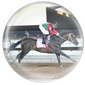 Alshareef Hazzaa Stables