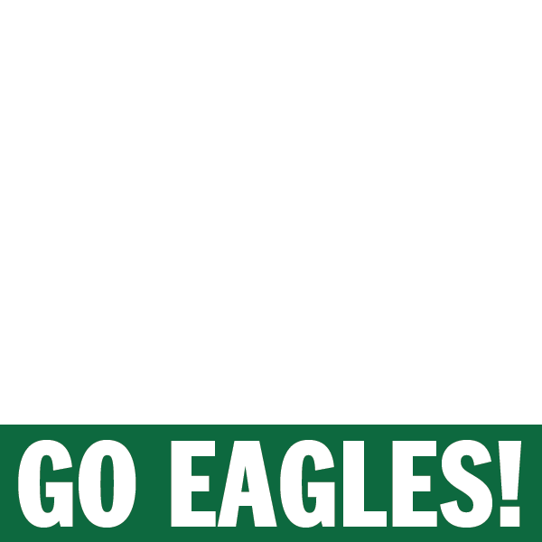 Freep.com Go Eagles campaign
