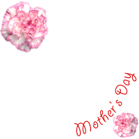 Ginza_Flower_Letters_5