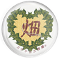 GOGUMA_JAPAN