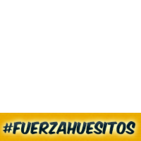 #FuerzaHuesitos
