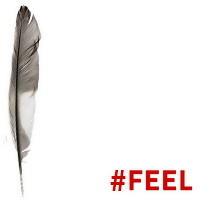 @SWStheband new album #FEEL out June 4th!