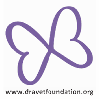 Dravet Awareness