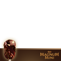 Magnum Mini
