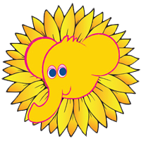 Big Yellow Friday