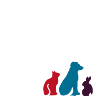 World Spay Day