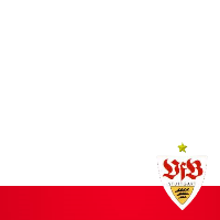 VfB Stuttgart 2010/2011
