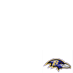 Baltimore #Ravens