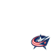 Columbus Blue Jackets