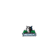 Minnesota Timberwolves