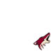 Phoenix Coyotes