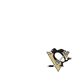 Pittsburgh Penguins