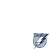 Tampa Bay Lightning