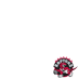 Toronto Raptors
