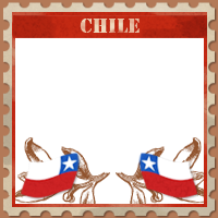 llenemoschiledebanderas3