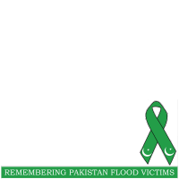 Social Media for Pakistan