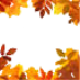 Autumn leaves