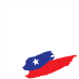 VIVA CHILE!