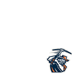 UTEP Miners
