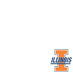 Illinois Fightning Illini