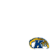 Kent State Golden Flashes