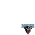 Maine Black Bears