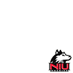 Northern Illinois Huskies