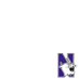 Northwestern Wildcats