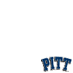 Pittsburgh Panthers