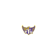 Tennessee Tech Golden Eagles