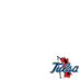 Tulsa Golden Hurricane