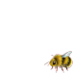 Bee Day